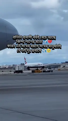 মন কেন কান্দেরে তরি লাগিয়া🥹✈️#সাপোর্ট_করলে_সাপোর্ট_পাবে #প্রবাসীর_বউ✈️👰 #trendingsong #foryou #foryoupage 