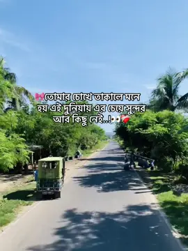 🎀তোমার চোখে তাকালে মনে হয় এই দুনিয়ায় এর চেয়ে সুন্দর আর কিছু নেই..!👀❤️‍🩹J❤️‍🩹 #tiktok #captionvideo #romanticcaption #foryoupage #caption 
