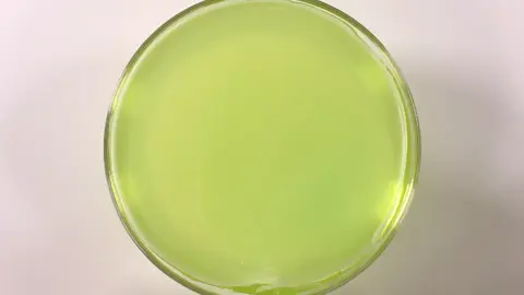 Green wax slime,credits : slimetube . . . . green wax slimetube green slime speed up slime . . . . #green #speedup #slime #slimeforrants #rantbackground 