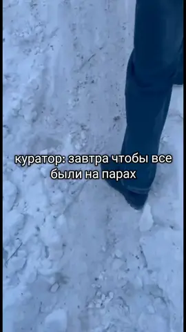 #Куратор #учеба #общага #рекомендации #подпишись🙏 #лайкрепост 