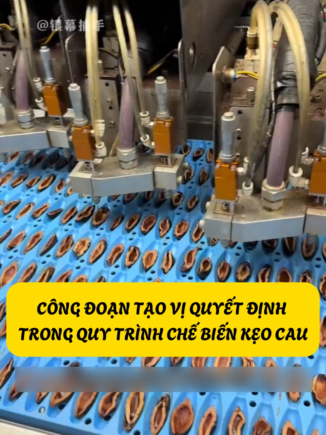 Công Đoạn Tạo Vị Quyết Định Trong Quy Trình Chế Biến Kẹo Cau #kienthuc #khampha #cothebanchuabiet