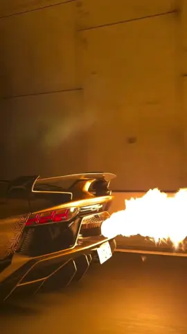 V12 RAW SOUND🔥 #lamborghini #v12 #svj #fyp #supercar  Experience the Unfiltered V12 Symphony: Lamborghini Aventador SVJ 🔊🔥 Feel the raw power and the legendary scream of the 6.5L V12 engine. No music, no distractions—just pure automotive perfection!      Keywords: Lamborghini SVJ V12 sound, raw exhaust notes, Lamborghini Aventador SVJ revs, V12 engine symphony, pure engine sound, supercar cold start, Lamborghini SVJ performance, loud exhaust cars, V12 power, high-octane engine sound.