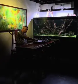 Mãi đến năm 34t mình mới hiểu 1 câu hát trong bài “ mẹ tôi “ của nhạc sĩ Trần tiến.  “ nhìn cha,thương cha, chí lớn không thành “..! #bểcáthuỷsinh #tamtrang #buon_tam_trang #xuhuongtiktok 