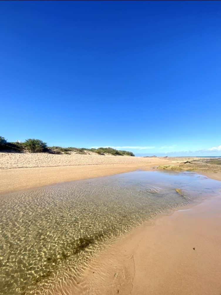 + de 20 anos frequentando e ainda tem dias que fico surpresa com a cor dessa água 💚 que sorte a minha morar tão perto desse paraíso! 🌊 #travelcreator #destinosbaianos #praiasdonordeste #litoralnortedabahia #camacari 
