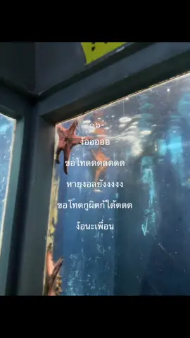 #ง้อน่าาา#หายยัง#ทั้งสองตัวนั่นแหละง้อๆๆๆ #ฟิดดดシ🙏❤️ 