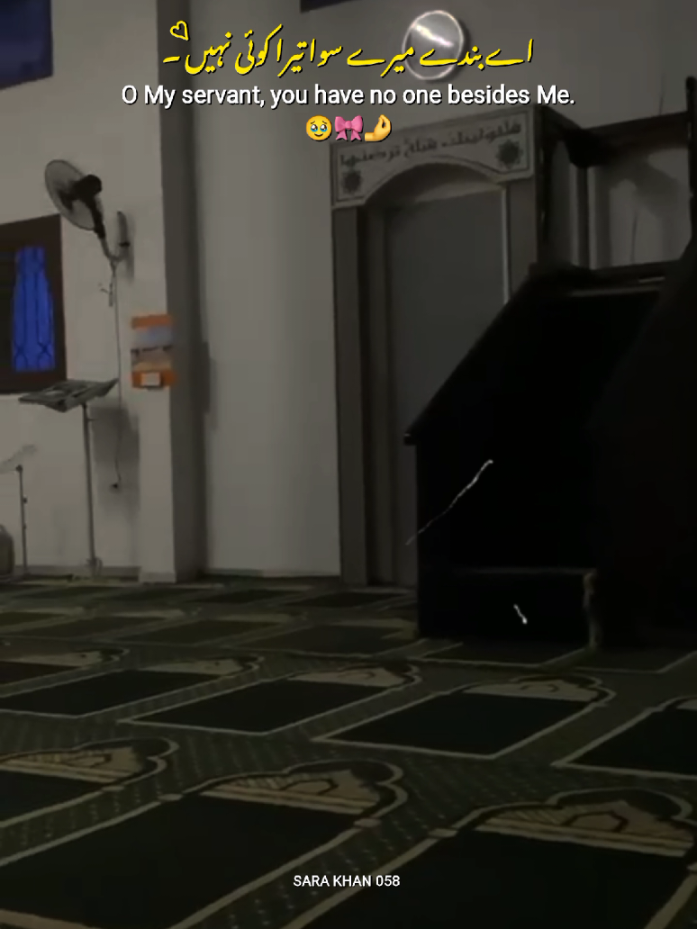 Ab samajh agya 🥹👆❤️ || Allah 🤲♥️ || Heart touching lines 💕👈 || New status video ♥️😢 || Sad status video 💞 || reposted request ✨ #allah #Ramadan #urdupoetry #fypシ゚ #foryoupage 