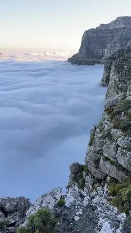 I’m still trying to process this view 🤯 #tablemountain #views #capetown #fyp #clouds 