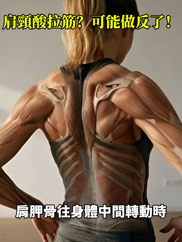 一個殘酷的健身/體態冷知識： 「肩頸痠痛的時候，再拉筋只會更慘。」 因為你的肩胛骨已經掉下去了，肌肉正在被迫拉長硬撐。 你真正該做的是：把肩胛骨往中間轉！ 只要向內收縮，肩膀就會像槓桿一樣「翹」回水平。 看完影片跟著做一次，這週練肩先從控制肩胛骨開始。