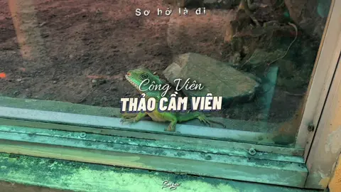 📍| Thảo Cầm Viên | Nằm tại địa điểm, 2 Nguyễn Bỉnh Khiêm, Phường Sài Gòn, Quận 1, Thành phố Hồ Chí Minh. Thảo Cầm Viên Sài Gòn là một trong những công viên lâu đời và nổi tiếng nhất tại TP.HCM, được xây dựng từ năm 1864 và hiện là một trong những vườn thú cổ nhất thế giới. Không chỉ là nơi bảo tồn hàng nghìn cá thể động vật và hàng trăm loài thực vật quý hiếm, nơi đây còn được ví như “lá phổi xanh” giữa lòng thành phố nhộn nhịp. Dạo bước dưới những hàng cây cổ thụ mát lành, ngắm nhìn muôn loài sinh vật và tận hưởng không gian thiên nhiên yên bình, Thảo Cầm Viên mang đến cảm giác vừa gần gũi vừa hoài niệm, trở thành điểm đến quen thuộc gắn liền với ký ức của nhiều thế hệ người Sài Gòn. #soholadi #thaocamvien #saigon #vairal #xuhuong 