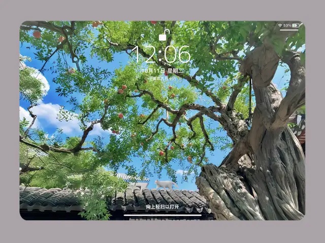 #fyp #foryou #wallpaper #hinhnendep #ipad 