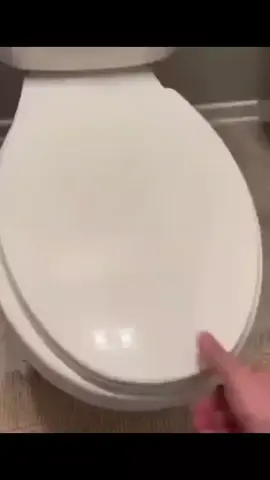 POV moment when you casually open the toilet lid… and suddenly spot a giant spider inside. 😳 New fear unlocked! Just another normal day if you’re living in Australia. A funny and shocking moment that turns an ordinary bathroom visit into an unforgettable surprise.#POV #NewFearUnlocked #AustraliaProblems #SpiderSurprise #FunnyScary  🕷️😱🚽