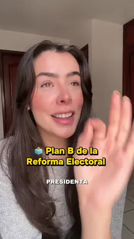 🗳️ Plan B de la Reforma Electoral  #reformaelectoral #planb #claudiasheinbaum #morena #politicamexicana 