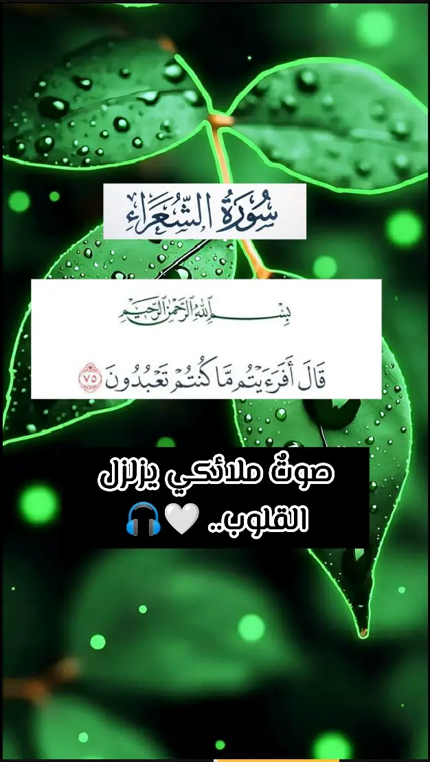 قرآن بصوت يخشع له القلب، صوت هادئ وعذب يأخذك بعيداً عن ضجيج الحياة وهموم الدنيا ليمنحك راحة نفسية وطمأنينة لا توصف. إن الاستماع إلى قرآن كريم بصوت جميل ليس مجرد عبادة، بل هو شفاء للروح وجلاء للأحزان. هذه المقاطع الدينية تم اختيارها بعناية لتكون تلاوة مؤثرة تلمس شغاف القلوب وتدفعك للتدبر في آيات الله المحكمات. إذا كنت تبحث عن قرآن للنوم أو تلاوة تساعدك على التركيز والدراسة، فهذا المقطع هو خيارك الأمثل لـ راحة القلب والبال. لماذا تستمع لهذا المقطع؟ أرح سمعك وقلبك بآيات الذكر الحكيم بصوت ملائكي. تلاوة هادئة جداً تساعد على التخلص من التوتر والقلق. قرآن بصوت تخشع له القلوب، يذكرك بعظمة الخالق ويجدد إيمانك. تجميعة لأجمل المقاطع الإسلامية القصيرة والمؤثرة. نتمنى أن تنال هذه التلاوة العذبة إعجابكم، ولا تنسوا مشاركة المقطع ليكون صدقة جارية لكم، فالدال على الخير كفاعله. اجعلوا هذا الصوت يصدح في بيوتكم لتباركها السكينة #تلاوة_خاشعة #صوت_جميل #قران_كريم #متابعة_قلب_تعليق_مشاركة_أكسبلور🖤 #قران_كريم_ارح_سمعك_وقلبك 