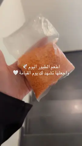 #صدقه#صدقه_جاريه 