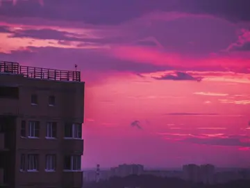 трек: сука любовь - михей и джуманджи #сукалюбовь #михей #текстпесни #lyrics #viral 