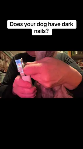 Nail trims used to be a full-on battle in my house 😅 This changed EVERYTHING… the light helps you see exactly where to cut, and the grinder smooths it out without hurting them 🐶✨ No more guessing. No more stress. If your dog hates nail trims, you need this 👀 🛒 It’s in my TikTok Shop #tiktokmademebuyit  #dogsoftiktok  #dogowners  #petproducts  #dogcare 