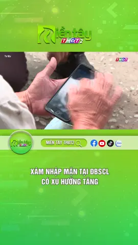 Xâm nhập mặn tại ĐBSCL có xu hướng tăng  #thdt #mientaythdt2 #thdt2 #tintuc #mientay