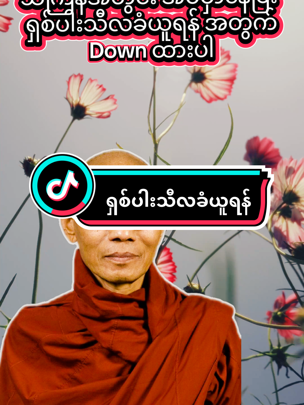 #ရှစ်ပါးသီလ#DhamaGuide #foryoupage #တရားတော်များနာယူနိုင်ကြပါစေ #HappyThagyanFestival 