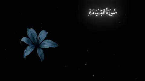 سورة القيامة || Сурат Аль-Кияма  @Alim ash-Shishani   عليم  #الشيشاني #quran #ислам #коран #foryoupage 