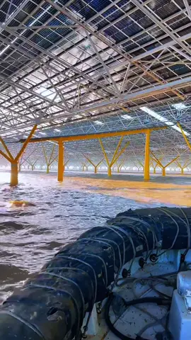 Don’t be surprised. This is just a normal offshore solar project in China. But think about it — the most endless and clean energy source is already above us: the sun. Floating solar, roads, rooftops… we are starting to use space that was once ignored. #solarenergy #offshoresolar #renewableenergy #cleanenergy #chinaindustry 
