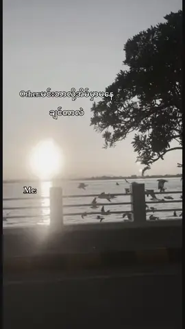 ငါကအမြဲစောက်သုံးမကျတဲ့ကောင်#fyp #crd #fyppppppppppppppppppppppp 