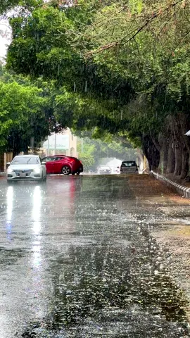 أمطار الطائف اليوم #الطائف_الان #تصويري #fyp 