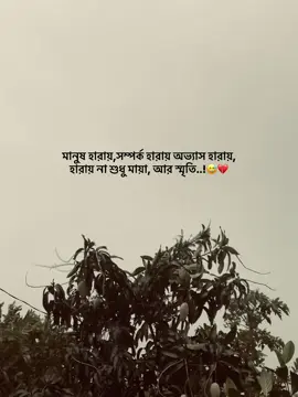 মানুষ হারায়,সম্পর্ক হারায় অভ্যাস হারায়,  হারায় না শুধু মায়া, আর স্মৃতি..!😅💔#sad #caption #foryou #emotional 