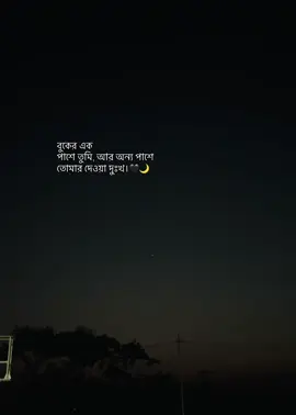 বুকের এক পাশে তুমি, আর অন্য পাশে  তোমার দেওয়া দুঃখ।🖤🌙 #mahirrr_28 #caption #status #writer #weather 