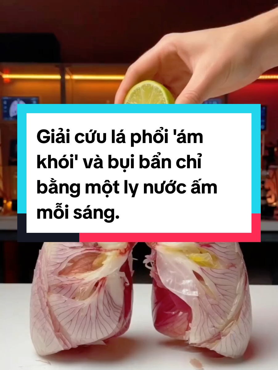 💦Chăm sóc hệ hô hấp chưa bao giờ đơn giản đến thế! 🌿 Sự kết hợp hoàn hảo giữa cam, gừng, tỏi và hành tây tạo nên một 'lá chắn' tự nhiên, hỗ trợ thanh lọc và làm dịu vùng họng hiệu quả. Phương pháp dân gian này vừa an toàn, vừa dễ thực hiện tại nhà. Hãy chăm sóc bản thân và gia đình từ những điều nhỏ nhất nhé! 👉 Đừng quên lưu lại và chia sẻ cho bạn bè cùng biết! #suckhoe #meohay #thanhloc #suckhoechomoinha #songkhoe @GIẢI MÃ 