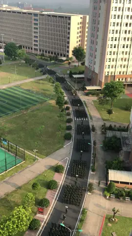 “Ánh nắng tựa như lời mở đầu”#siquanchinhtri 