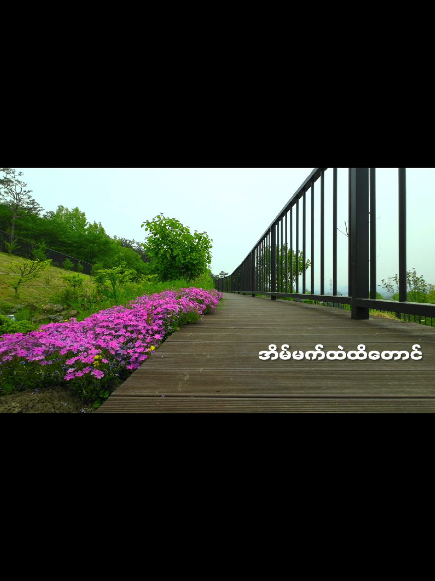 မင်းရှိတဲ့မြို့မှာ ငါရှိချင်တယ် #ဝိုင်းစုခိုင်သိန်း #myanmarsong #သီချင်းချစ်သူများအတွတ်☺️🎼🎵🎶 #lyrics #foryoupage 