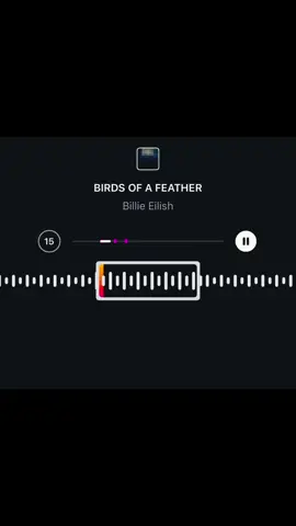APE YANG TAK ADA??? #divaaa #billieeilish #birdofafeather 