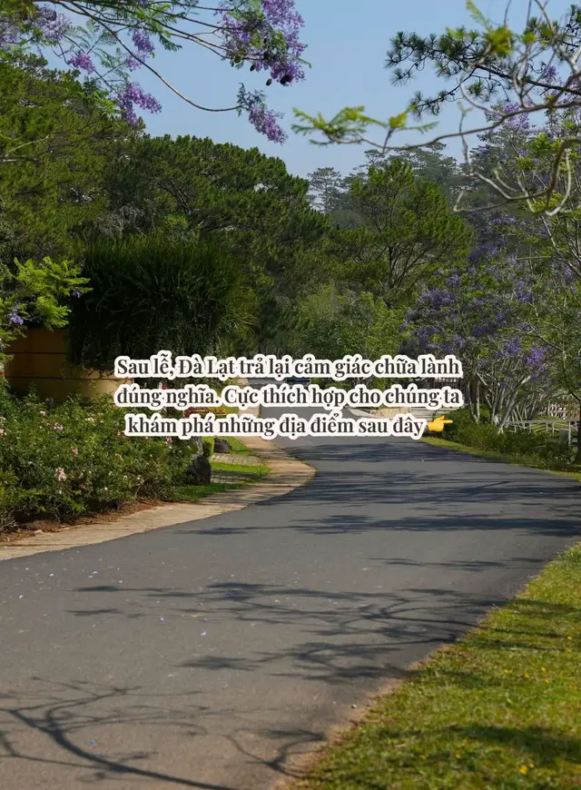 Muốn thấy một Đà Lạt thật sự, hãy đi sau lễ #dalatreview #dala #dalattrip2026 