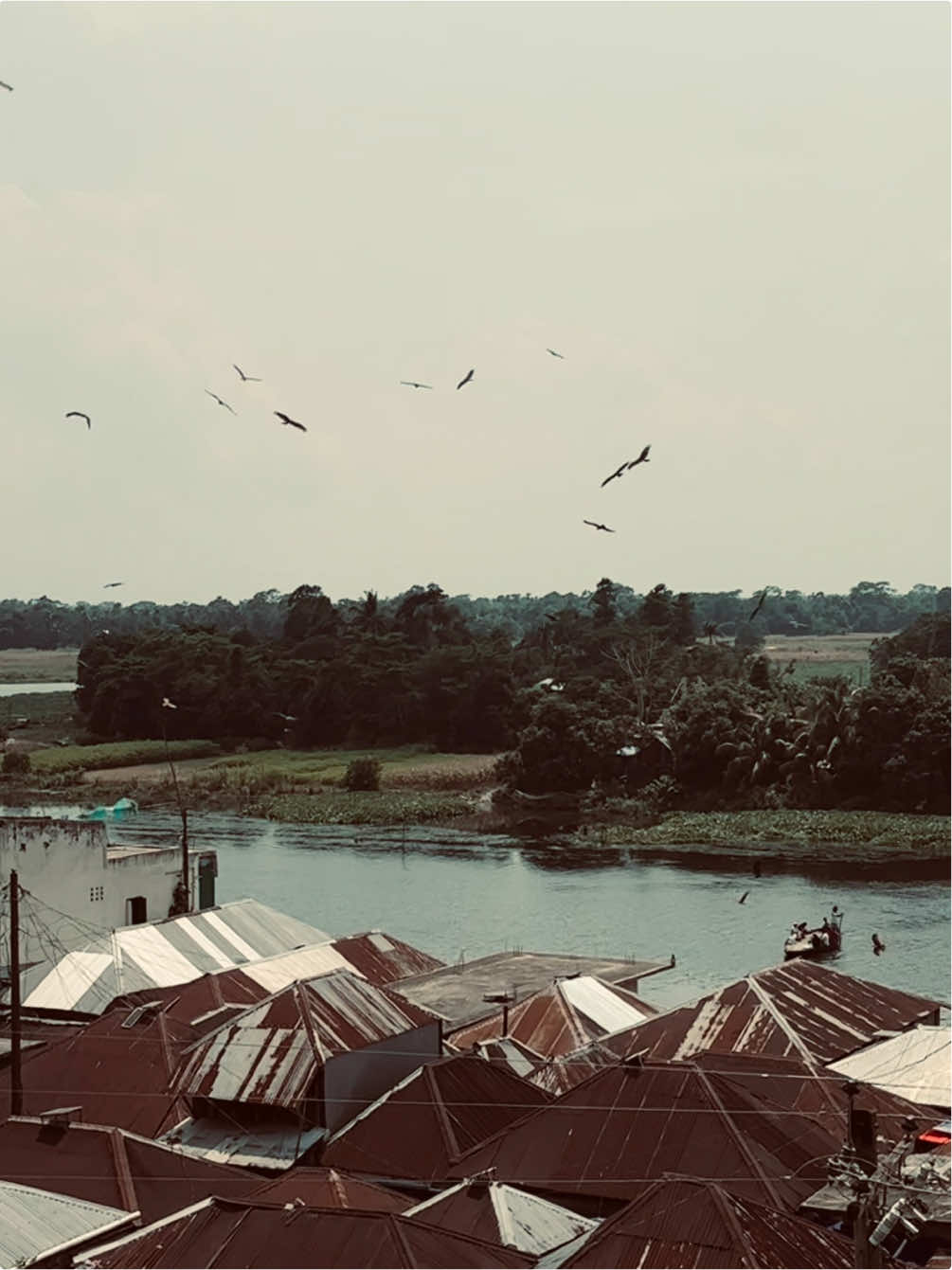 New BG 👍🔥#attitude #attitude_caption #sigma #trending_video #bg @TikTok 