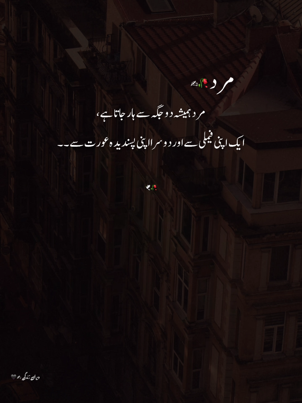 Kuch haar bohat takleef deti hain..🥀🕊️ مرد کی خاموش ہار #VeeranZindagi #MensLife#Sacchai #UrduPoetry مرد کی خاموش ہار