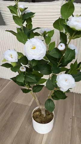 Plantas decorativas para tu hogar #plantas #plantasartificiales #plantasdecorativas #plantasdeexterior 