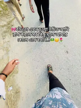 🎀বউ তো এমন হওয়া উচিত আমি রাগ করলে সব কিছু খুলে আমার কোলে এসে বসবে..!🐸🙃🌷 #captainvideo #captain #bangladesh #romanticcaption #foryoupage 