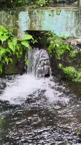 sumber gupit tempat pemandian umum yang bersumber dari mata air pegunungan,airnya bersih jernih dan sejuk, untuk lokasinya ada di Prigen Pasuruan Jawa Timur 