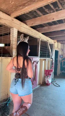 #caballos #viral #cute #tik #♥️ 