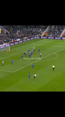 Newcastle united limbs best in the country ⚫️⚪️ by far 💯 #footballlimbs🤩 #absolutecinema✋🏼😐✋🏼 #newcastlefans #bestinthethecountry 