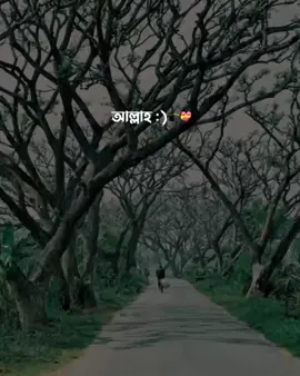 আল্লাহ :)❤️‍🩹🕋@TikTok Bangladesh #আবু_ত্বহা_মুহাম্মদ_আদনান #islamic_video #foryou #foryoupage #fyp @For You @For You House ⍟ 
