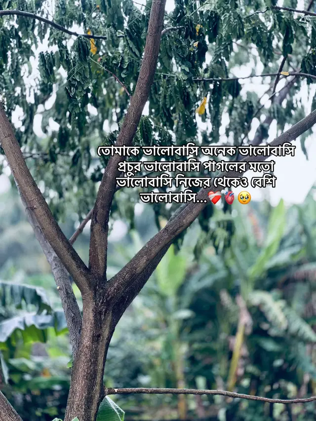#caption #trendingvideo  #foryoupage #captionlove❤️ 