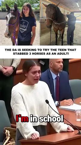 The DA is seeking to try the teen that stabbed 3 horses as an ADULT!#Horse#fyp #news #breakingnews#foryoupage