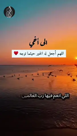 أخي 🤍 الأخ هو السند وقت الشدة والفرح أخي هو قطعة من قلبي ورفيق دربي. لا شيء يشبه حب الأخ، فهو أمان لا يُعوّض. الأخ هو الصديق الأول والحارس الدائم. في زحام الحياة، يبقى الأخ هو الثبات. أخي هو ظهري حين تنحني الأيام. الأخ وطن صغير نلجأ إليه كلما تعبنا. #أخي #مشاهدات #ترند #اكسبلواررر #حب 