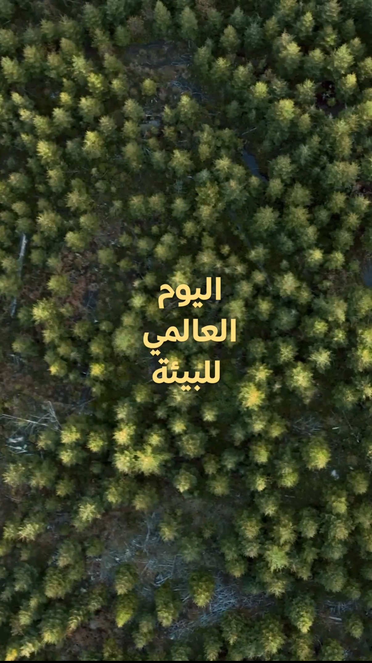 كل خطوة نصنعها اليوم، تترك أثرها على طبيعة الغد. وفي #اليوم_العالمي_للبيئة، نواصل الجهود لحماية البحار، واستعادة الأراضي، ودعم مدن أكثر استدامة في مختلف أنحاء المملكة. #مبادرة_السعودية_الخضراء