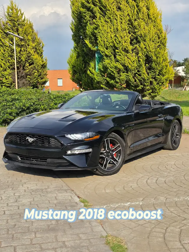 🔥 MUSTANG CONVERTIBLE 2018 PREMIUM  LINEA NUEVA🔥 📞 7️⃣2️⃣2️⃣6️⃣4️⃣9️⃣4️⃣1️⃣9️⃣4️⃣   Convertible | 2.3L Turbo | 4 cilindros EcoBoost ✅ Transmisión automática de 10 velocidades  ✅ Pantalla digital 12” en Tablero Performance ✅ Estéreo Apple CarPlay / Android Auto ✅ Camara y sensores de Reversa  ✅ 6 modos de manejo (incluye Track y Drift) ✅ Track Apps (0–100, tiempos, desempeño) ✅ 3 modos de dirección ✅ Iluminación ambiental multicolor ✅ GPS + luces con logo Mustang ✅ Pagos al 2026 ✅ Placas Estado de México Todo esta a mi nombre ‼️NO HAGO CAMBIOS ‼️ ‼️PRECIO A TRATAR EN PERSONA ‼️#mustang #mustanglovers #mustangowners #pedimento #importado 