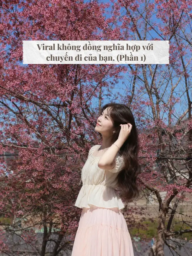 Lưu lại trước khi đi Đà Lạt. Gửi cho người đi cùng để khỏi dính lỗi cơ bản.#dalat #dalatreview #checkindalat 