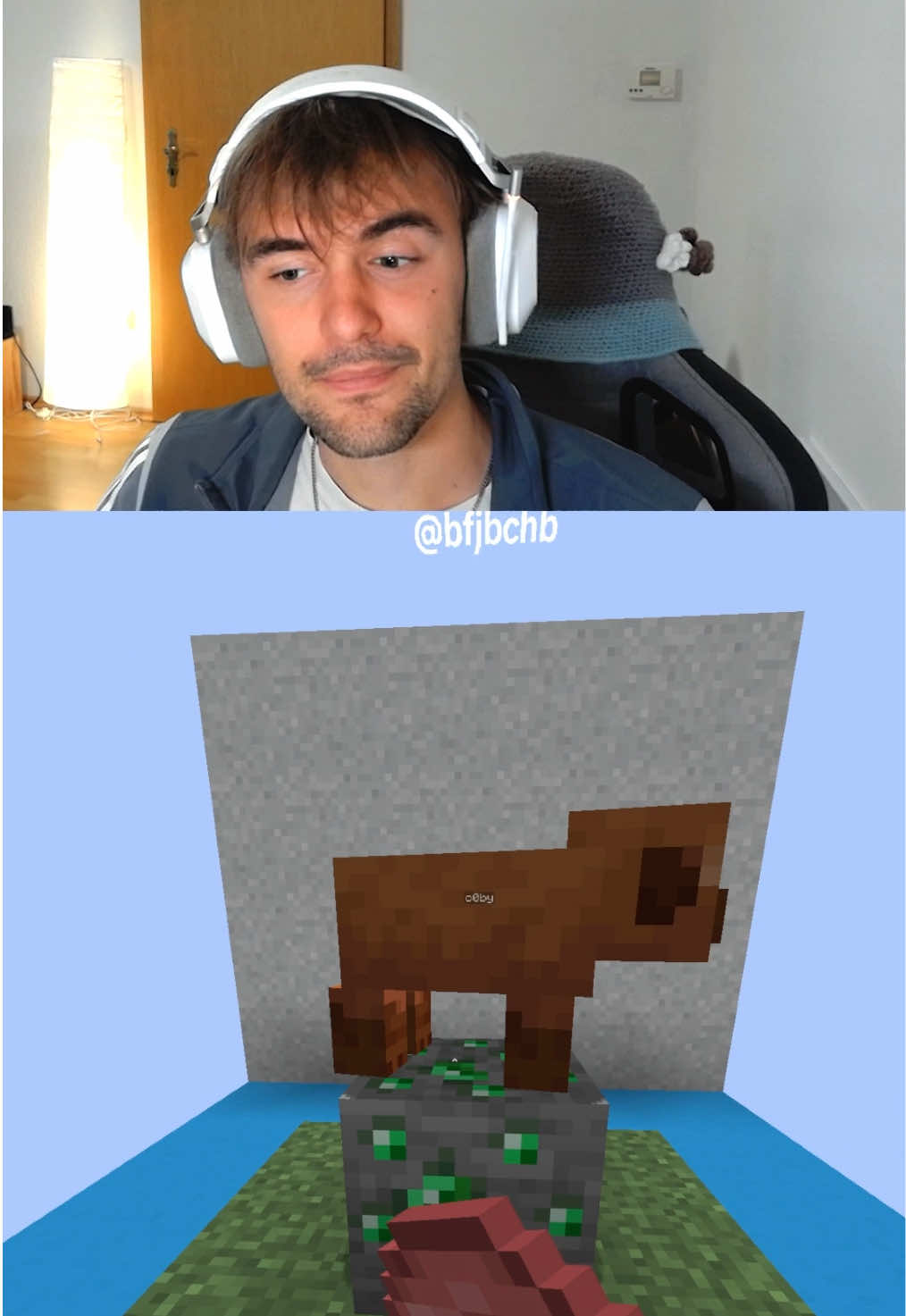 Minecraft Truth or Lie #Minecraft #mc #minecraftmemes @auch c0by 🦖 | cr: @Bufly @Tuffington 