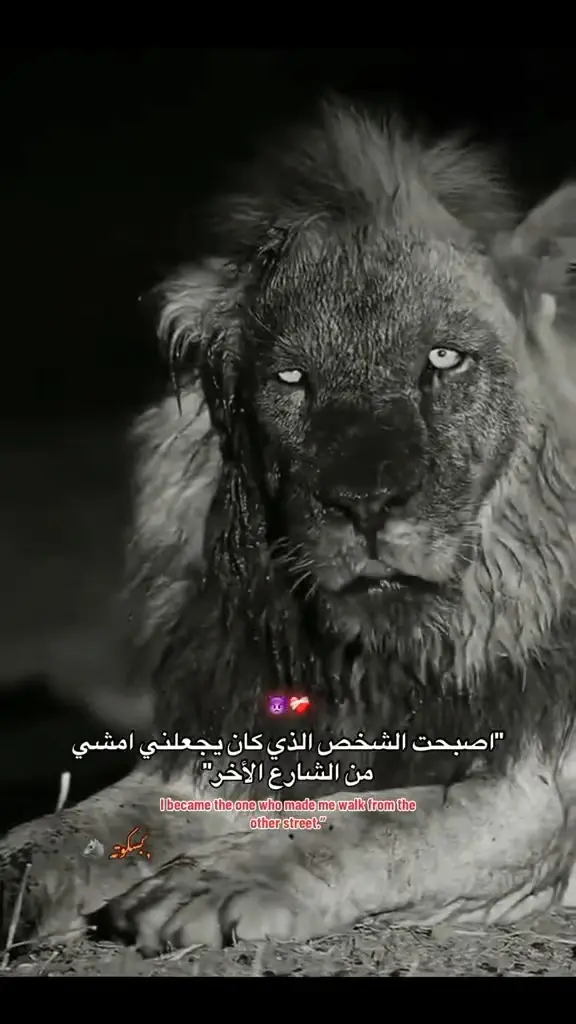 صور ليف فوتو حيه.. ترند الصور جديد اليف فوتو 2026.. #ليك______🖤___متابعه____اكسبلووورر #ترند_جديد #livephoto #foryoupage❤️❤️ #fpyシ 