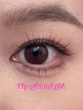 Tip gắn mi giả cong vút #makeup #ganmigia #tipmakeup #trending 